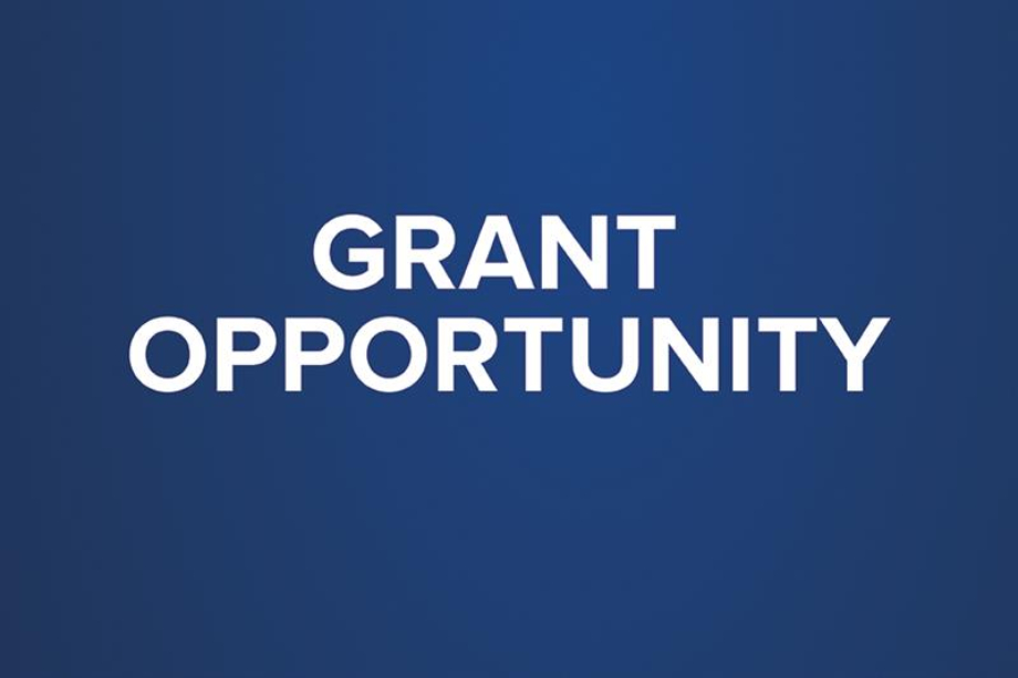 900-grant-opportunity this one